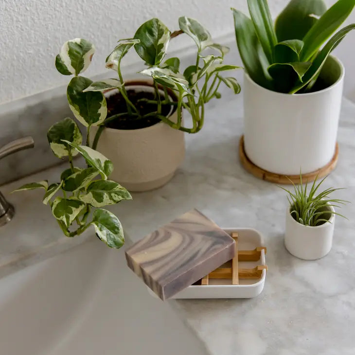 Soap tray with plants next to a sink
