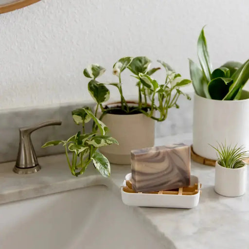 Soap bar on a dish with plants and a sink in the background