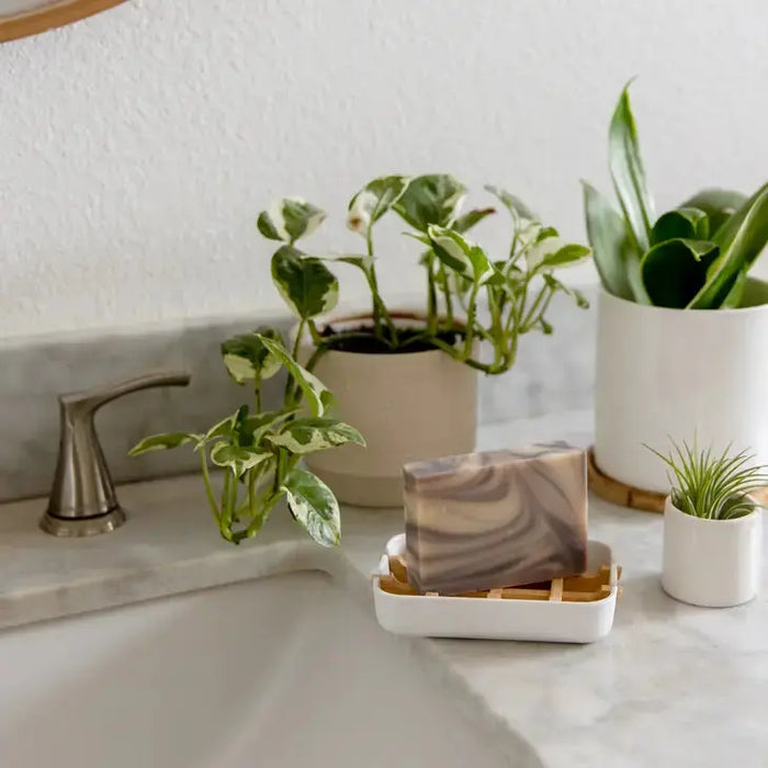 Soap bar on a dish with plants and a sink in the background