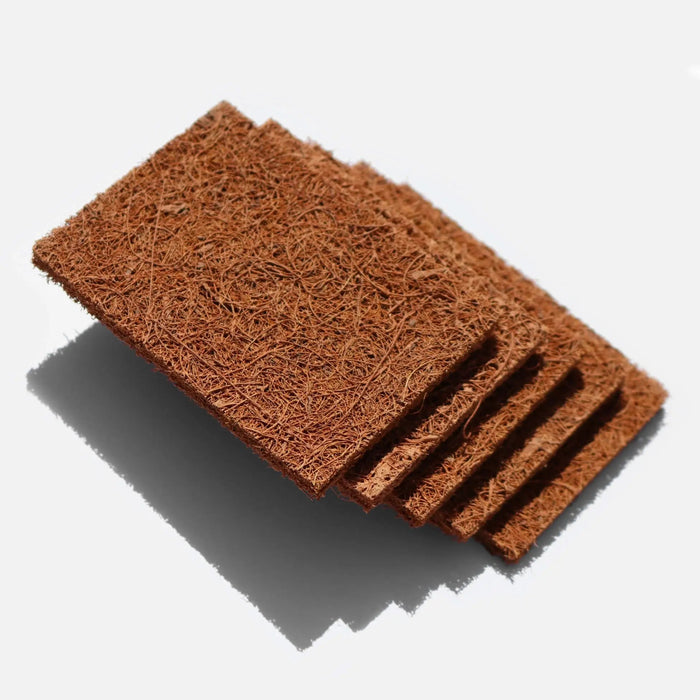 Two brown coconut dish scrubbers on a white background