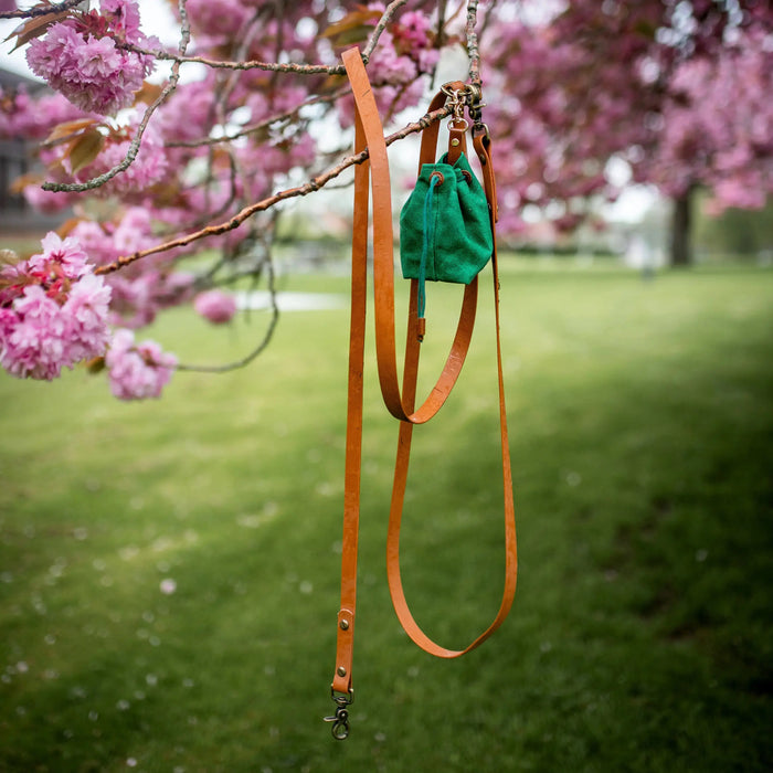Green bag with orange straps hanging from a cherry blossom tree