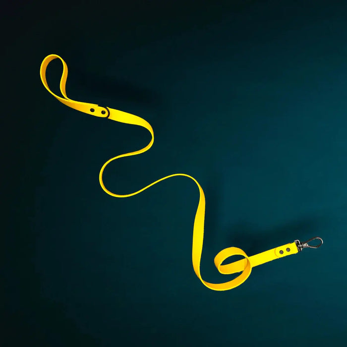 Yellow dog leash on a dark green blue background