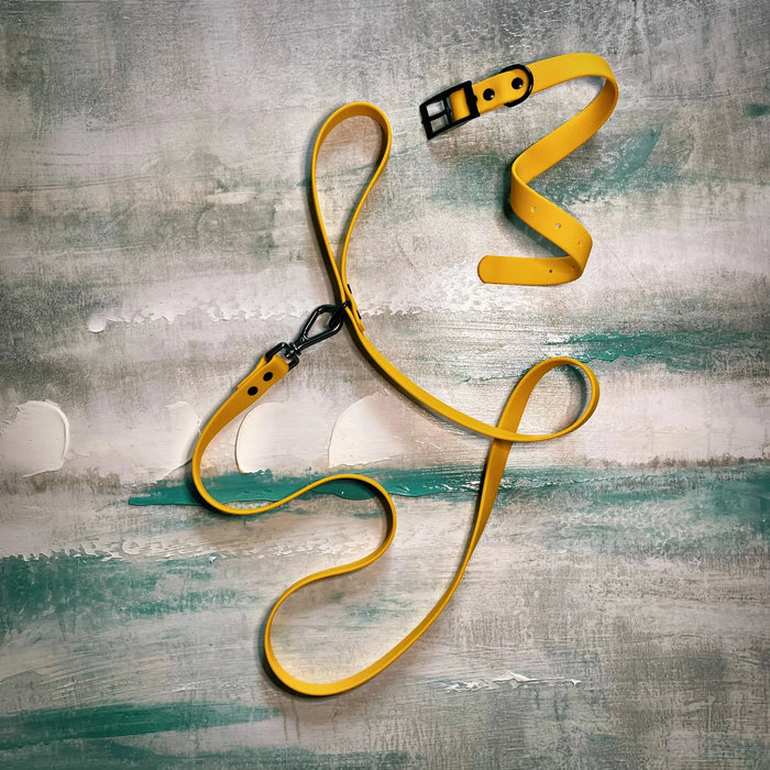 Yellow dog leash with black buckle on a textured gray surface